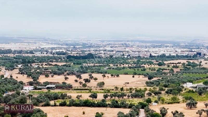 İzmir Menderes Görecede Koperatif Tapulu Merkeze Yakın Su Bahçe — fotoğraf 20