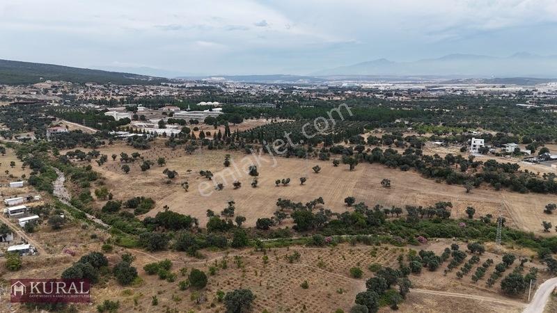 İzmir Menderes Görecede Koperatif Tapulu Merkeze Yakın Su Bahçe — fotoğraf 26
