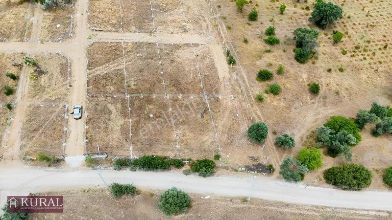 İzmir Menderes Görecede Koperatif Tapulu Merkeze Yakın Su Bahçe — fotoğraf 32