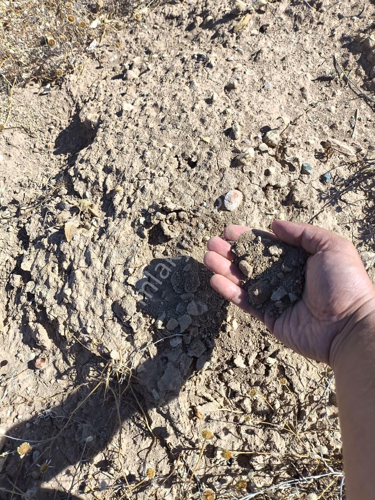 Kadastral Yolu Olan Proje, Çiftlik, Ahır Ve Ev Yapımına Uygun — fotoğraf 8