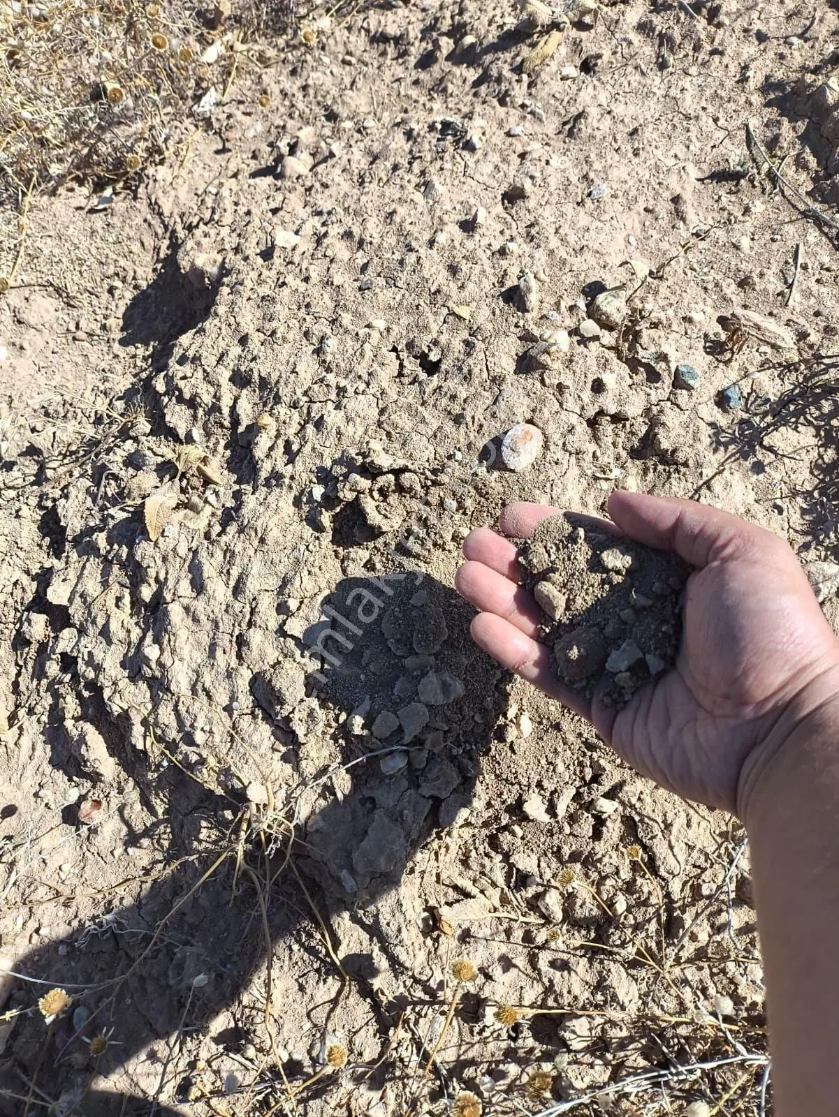 Kadastral Yolu Olan Proje, Çiftlik, Ahır Ve Ev Yapımına Uygun — fotoğraf 29