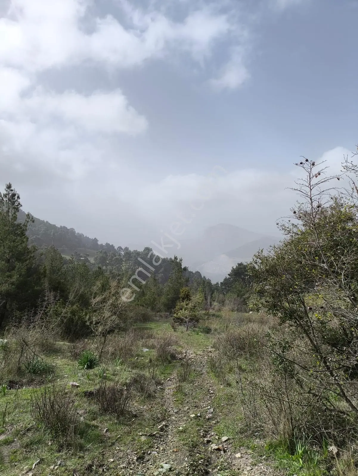 Yola Yakın, Ulaşımı Kolay Etrafı Ormanla Çevrili, Villara Yakın — fotoğraf 4