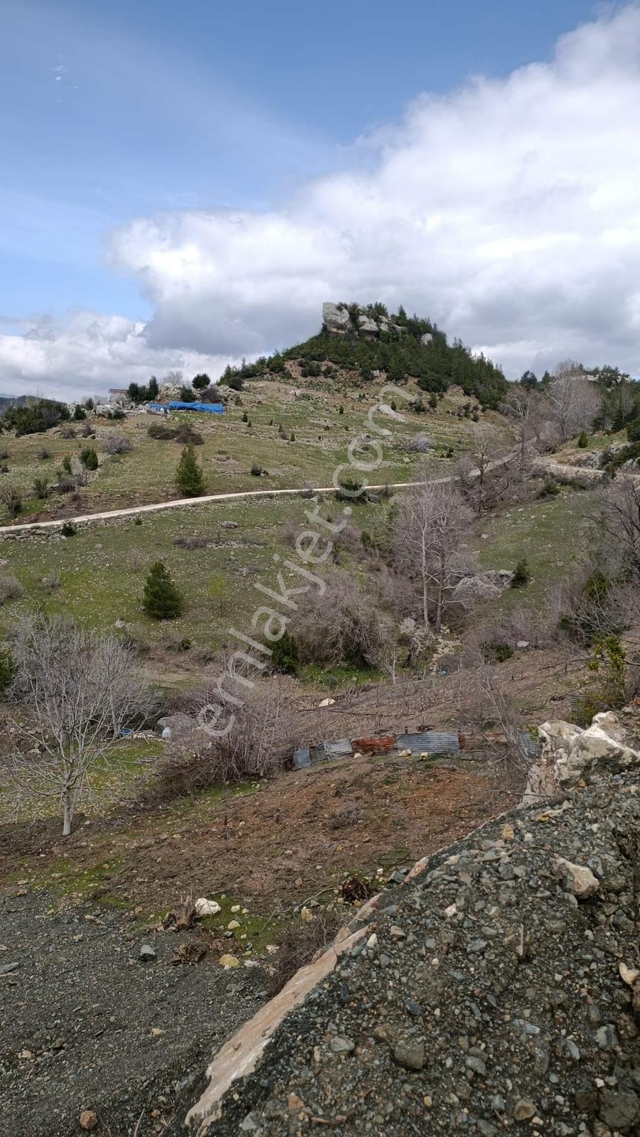 Yola Yakın, Ulaşımı Kolay Etrafı Ormanla Çevrili, Villara Yakın — fotoğraf 5