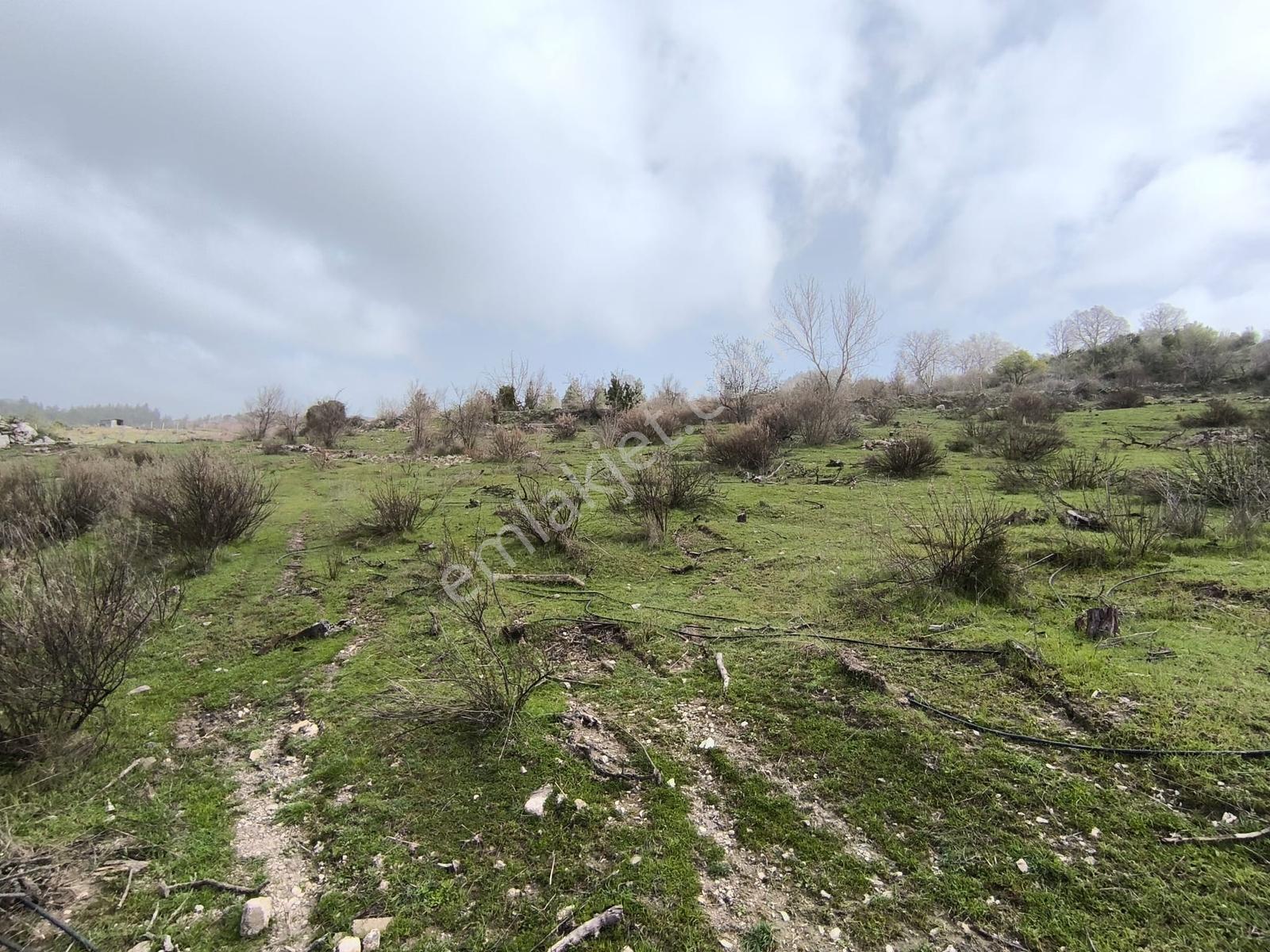 Yola Yakın, Ulaşımı Kolay Etrafı Ormanla Çevrili, Villara Yakın — fotoğraf 7