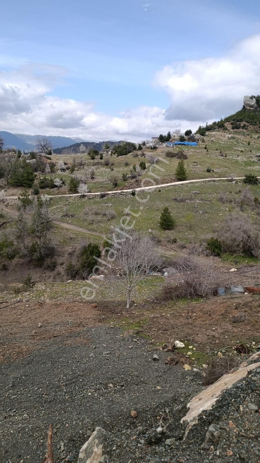 Yola Yakın, Ulaşımı Kolay Etrafı Ormanla Çevrili, Villara Yakın — fotoğraf 10