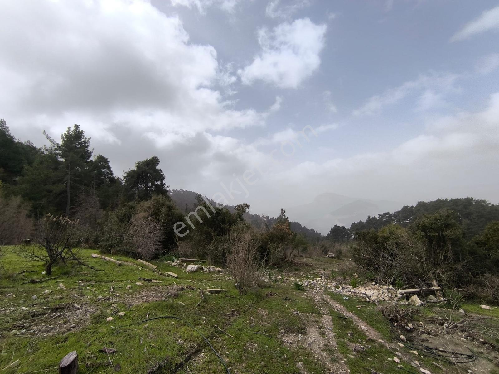 Yola Yakın, Ulaşımı Kolay Etrafı Ormanla Çevrili, Villara Yakın — fotoğraf 11