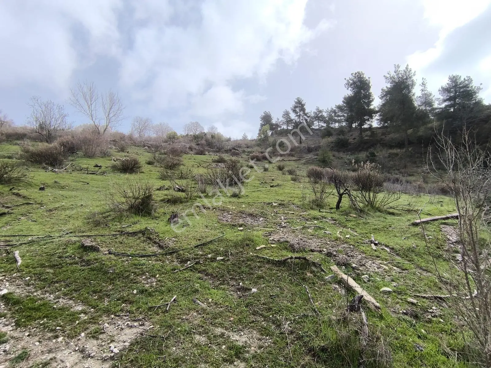 Yola Yakın, Ulaşımı Kolay Etrafı Ormanla Çevrili, Villara Yakın — fotoğraf 17