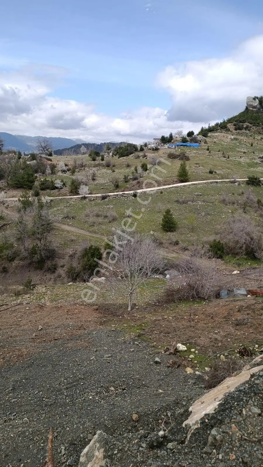 Yola Yakın, Ulaşımı Kolay Etrafı Ormanla Çevrili, Villara Yakın — fotoğraf 21