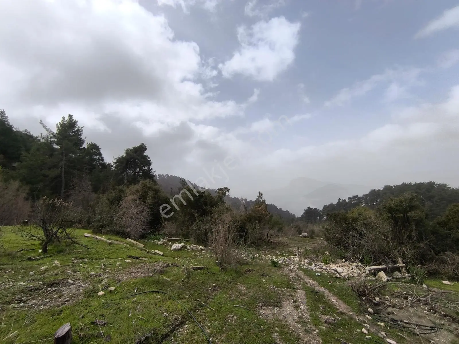 Yola Yakın, Ulaşımı Kolay Etrafı Ormanla Çevrili, Villara Yakın — fotoğraf 22