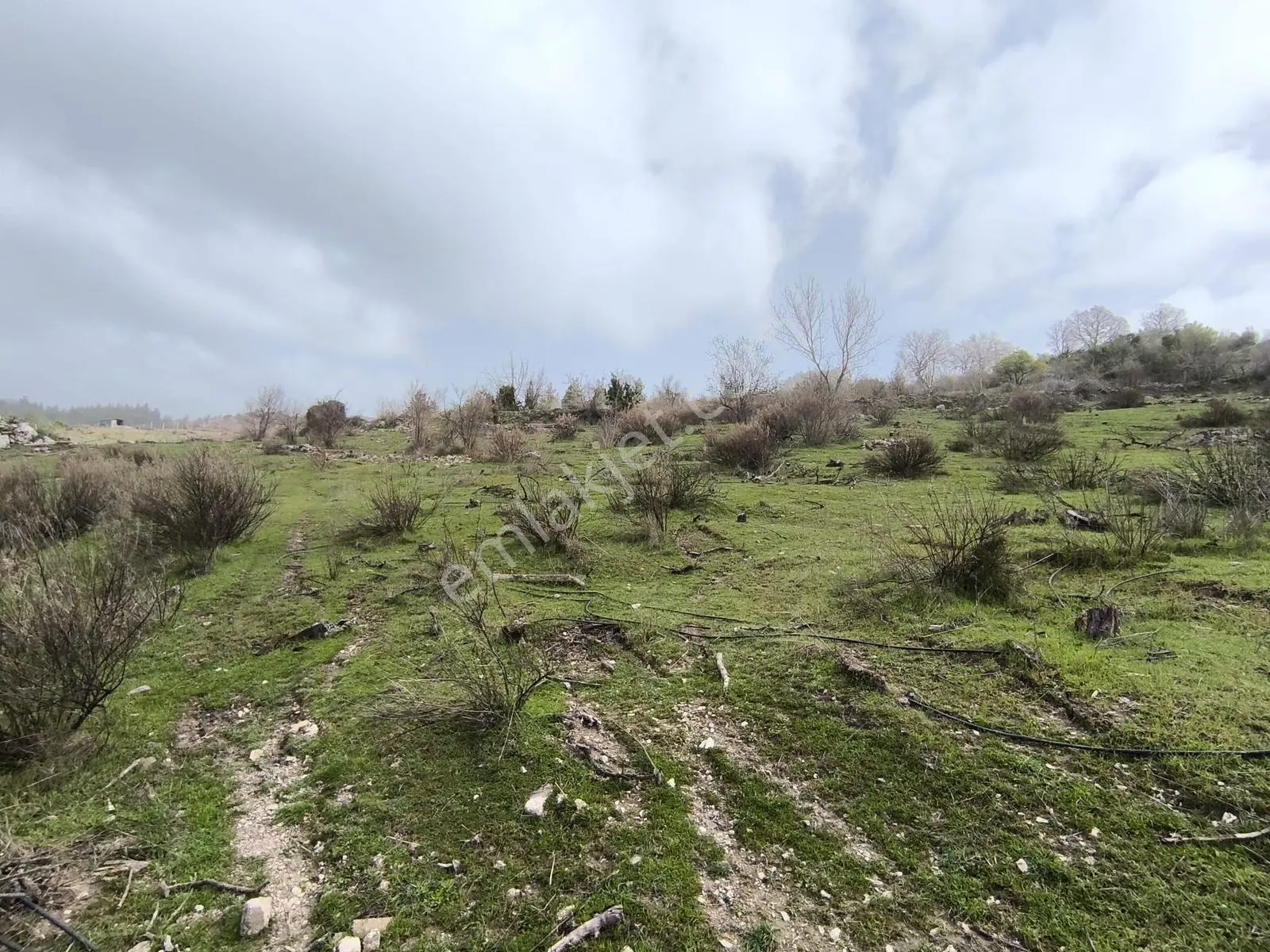 Yola Yakın, Ulaşımı Kolay Etrafı Ormanla Çevrili, Villara Yakın — fotoğraf 28