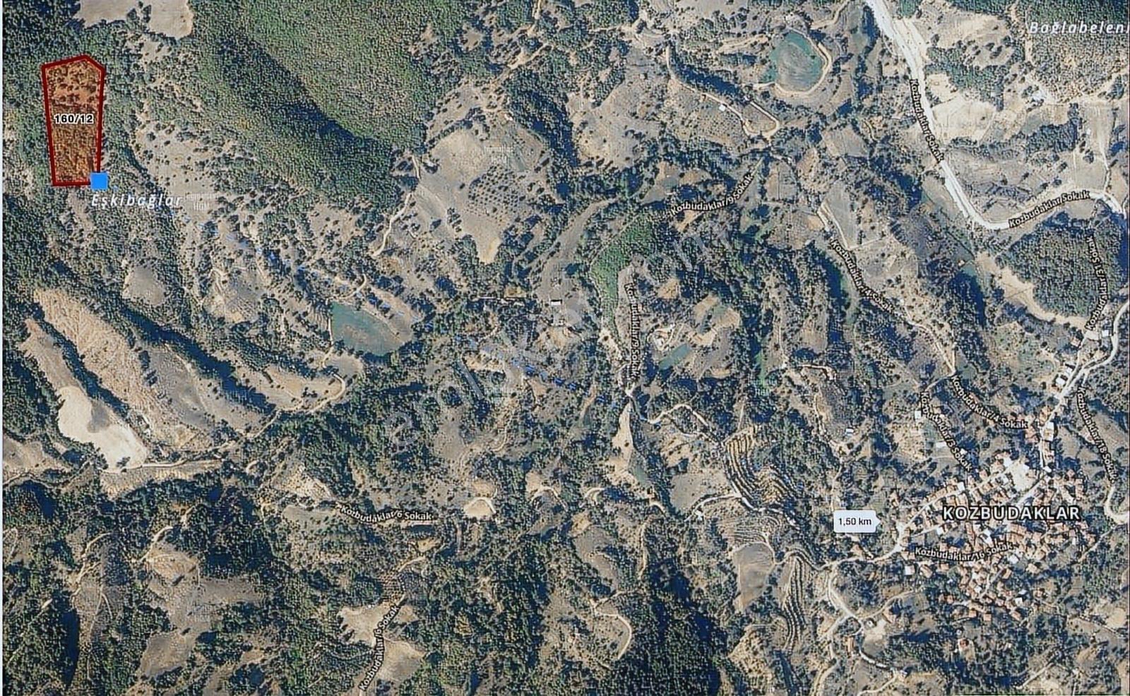 Bursaya Sadece 25 Dakika, Bölgenin En Ucuzu, Yarı Fiyatına — fotoğraf 12