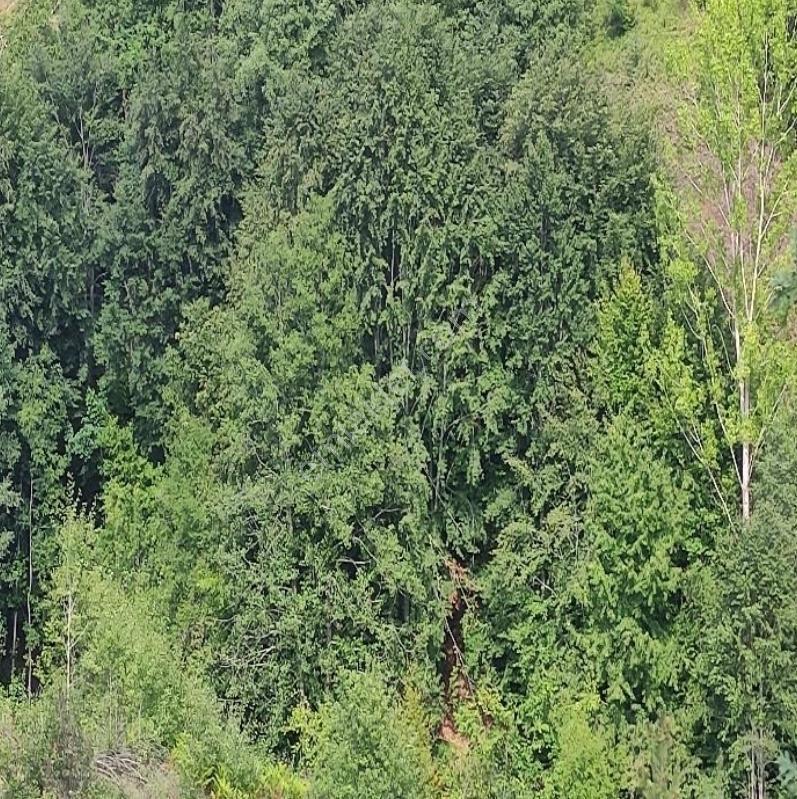 Bursaya Sadece 25 Dakika, Bölgenin En Ucuzu, Yarı Fiyatına — fotoğraf 15
