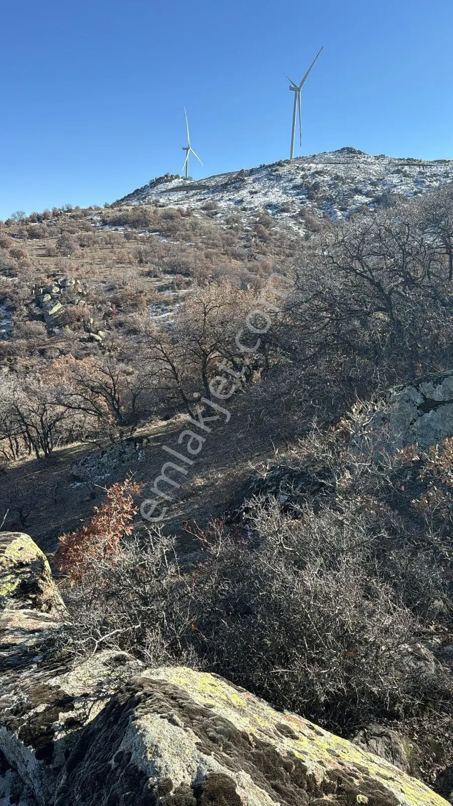 Köye Yakın,imara Girmesiyle Hızlı Yükselecek Arazi — fotoğraf 3