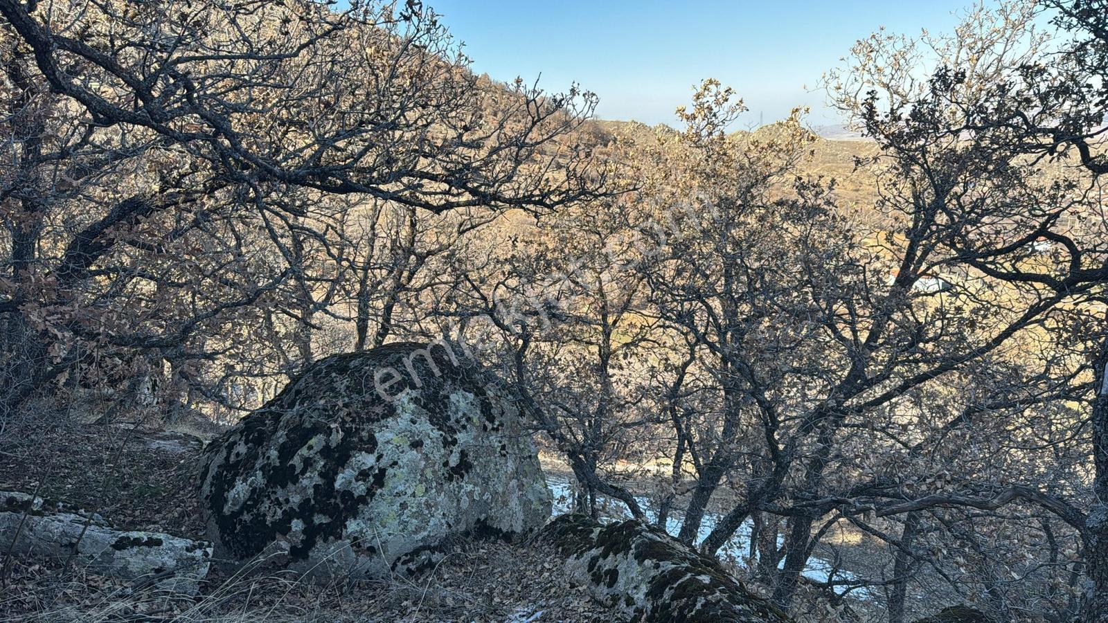 Köye Yakın,imara Girmesiyle Hızlı Yükselecek Arazi — fotoğraf 7