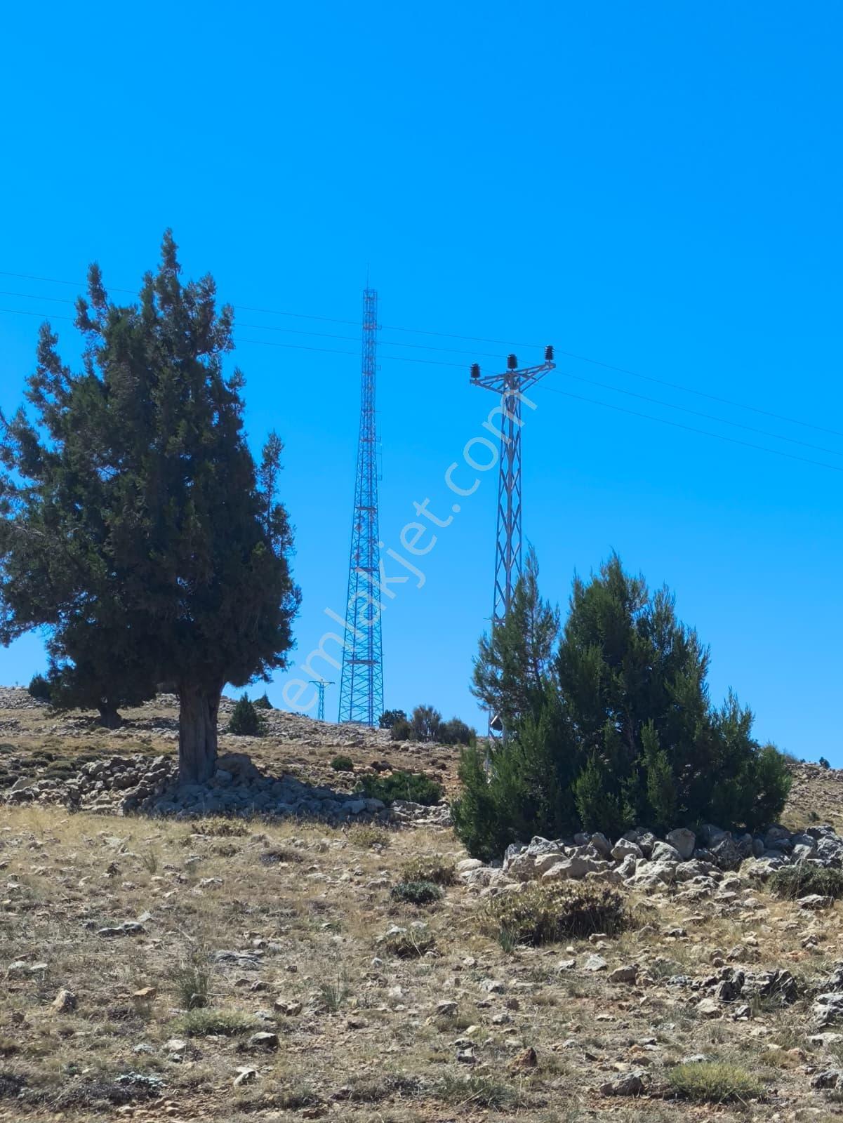 Köy Yerleşik Alanına Birleşik, Altyapıya Yakın Düz Arazi — fotoğraf 3