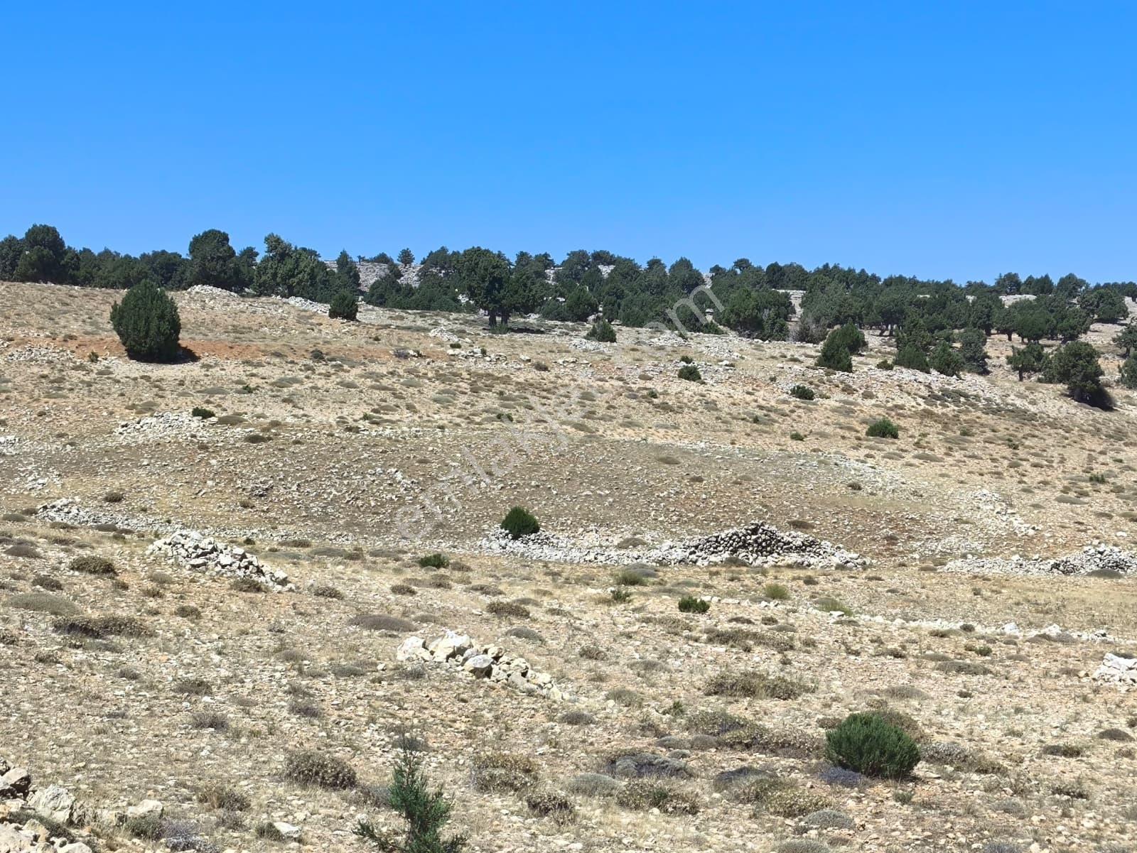 Köy Yerleşik Alanına Birleşik, Altyapıya Yakın Düz Arazi — fotoğraf 9