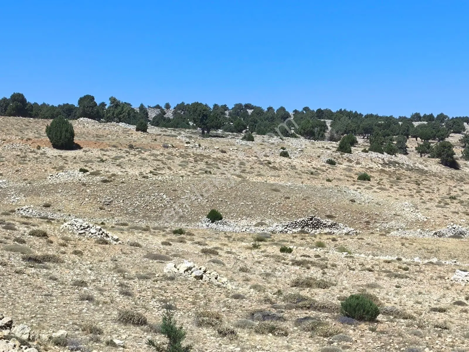 Köy Yerleşik Alanına Birleşik, Altyapıya Yakın Düz Arazi — fotoğraf 23