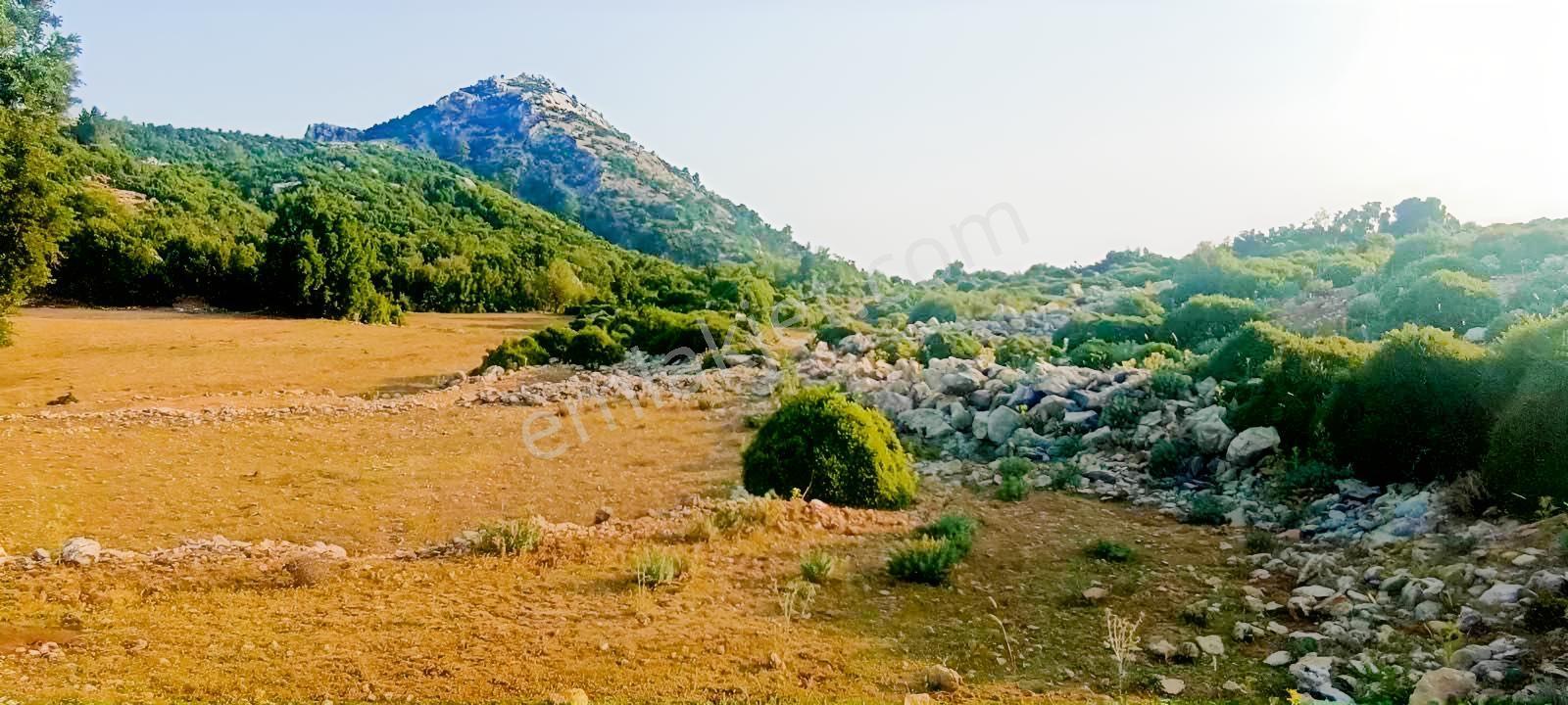 Fethiye Karaağaç Ta Doğa Denğz Manzaralı Satılık Tarla