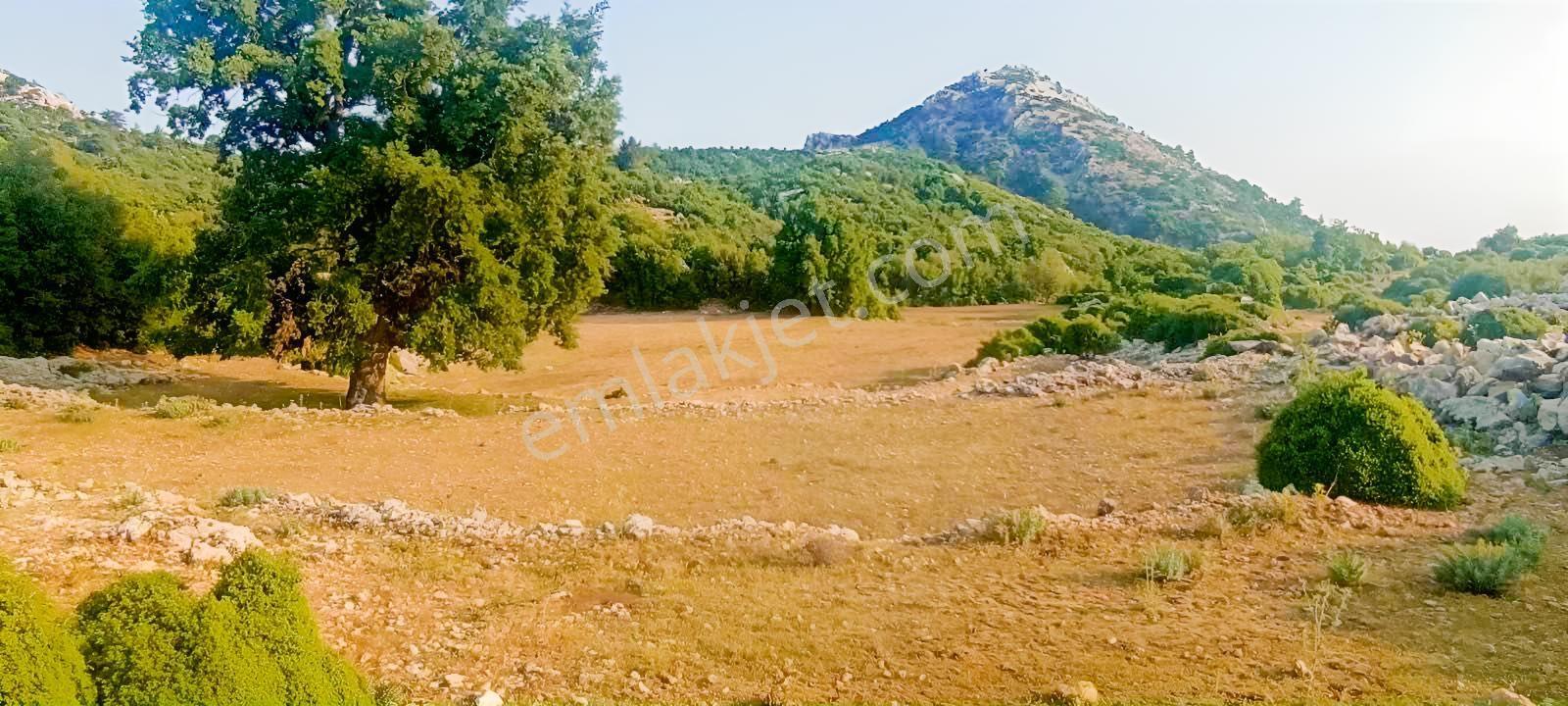 Fethiye Karaağaç Ta Doğa Denğz Manzaralı Satılık Tarla — fotoğraf 2