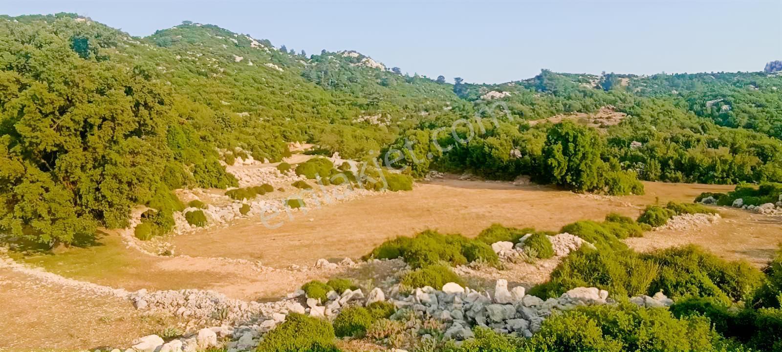 Fethiye Karaağaç Ta Doğa Denğz Manzaralı Satılık Tarla — fotoğraf 3