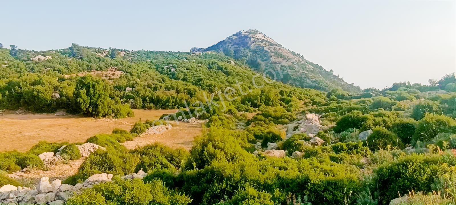 Fethiye Karaağaç Ta Doğa Denğz Manzaralı Satılık Tarla — fotoğraf 4