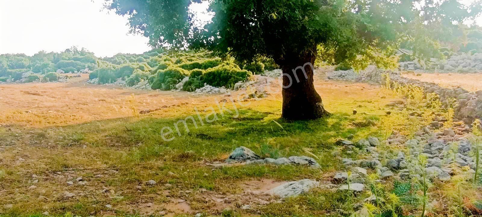 Fethiye Karaağaç Ta Doğa Denğz Manzaralı Satılık Tarla — fotoğraf 6