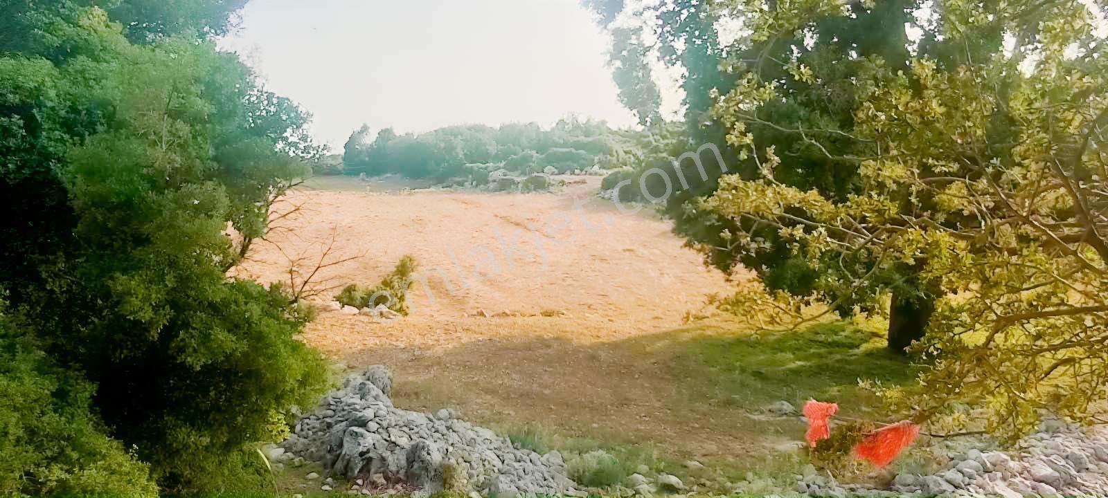 Fethiye Karaağaç Ta Doğa Denğz Manzaralı Satılık Tarla — fotoğraf 7