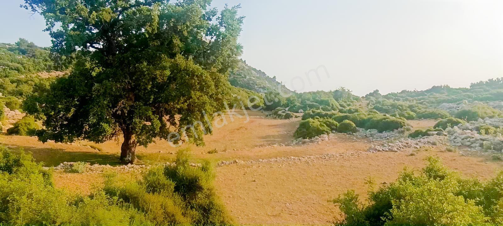 Fethiye Karaağaç Ta Doğa Denğz Manzaralı Satılık Tarla — fotoğraf 8