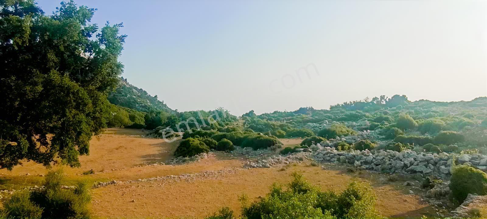 Fethiye Karaağaç Ta Doğa Denğz Manzaralı Satılık Tarla — fotoğraf 9