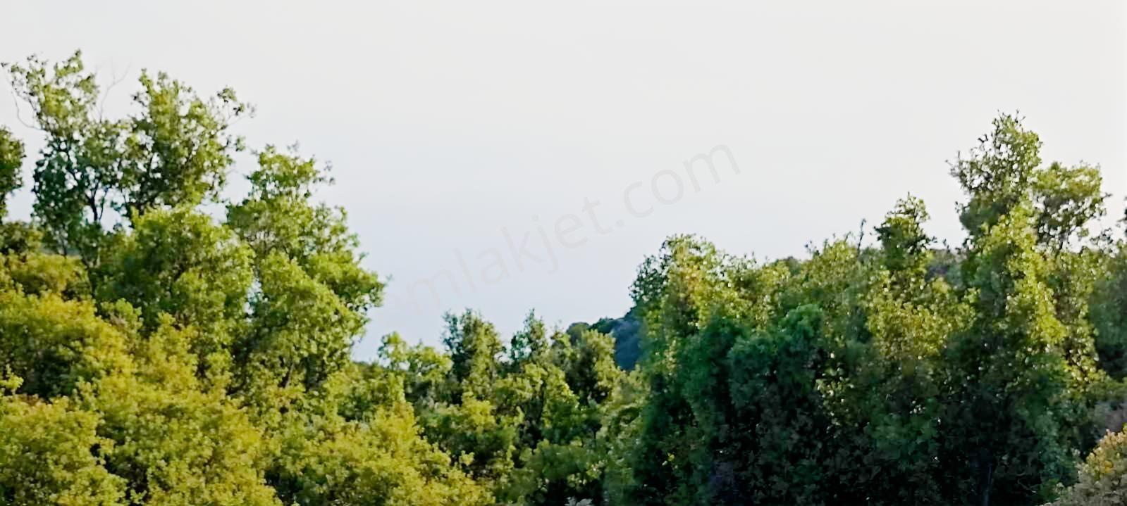 Fethiye Karaağaç Ta Doğa Denğz Manzaralı Satılık Tarla — fotoğraf 10