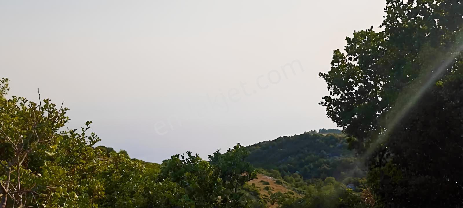 Fethiye Karaağaç Ta Doğa Denğz Manzaralı Satılık Tarla — fotoğraf 12
