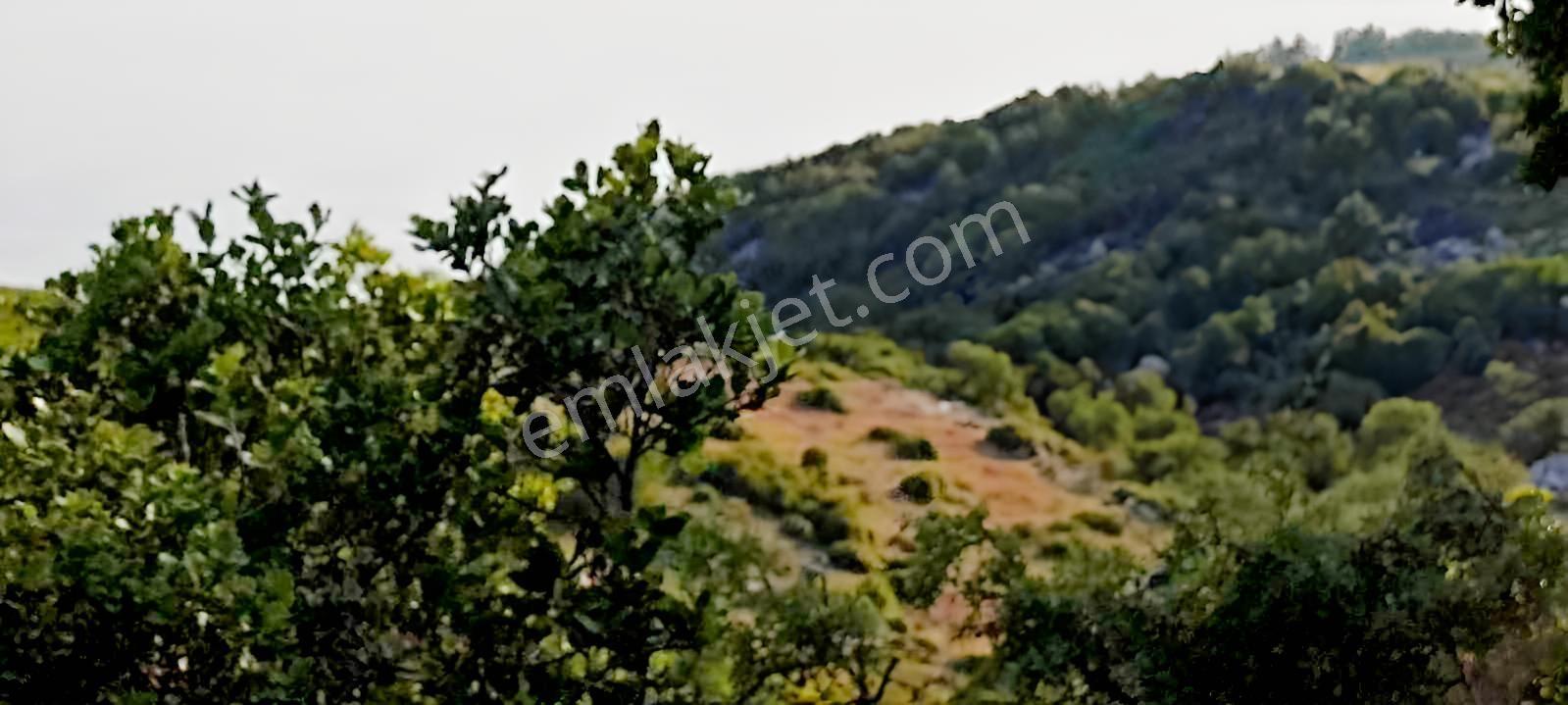 Fethiye Karaağaç Ta Doğa Denğz Manzaralı Satılık Tarla — fotoğraf 13