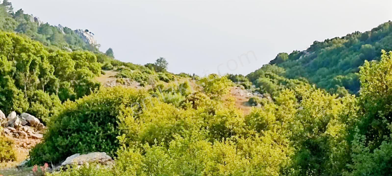 Fethiye Karaağaç Ta Doğa Denğz Manzaralı Satılık Tarla — fotoğraf 14