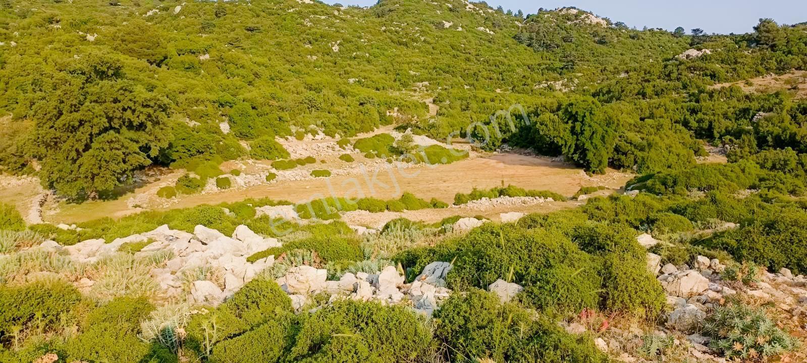 Fethiye Karaağaç Ta Doğa Denğz Manzaralı Satılık Tarla — fotoğraf 15