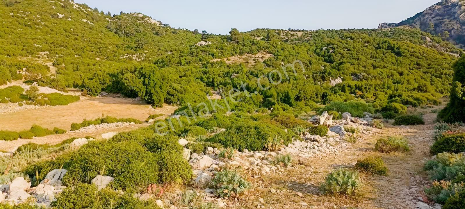 Fethiye Karaağaç Ta Doğa Denğz Manzaralı Satılık Tarla — fotoğraf 16