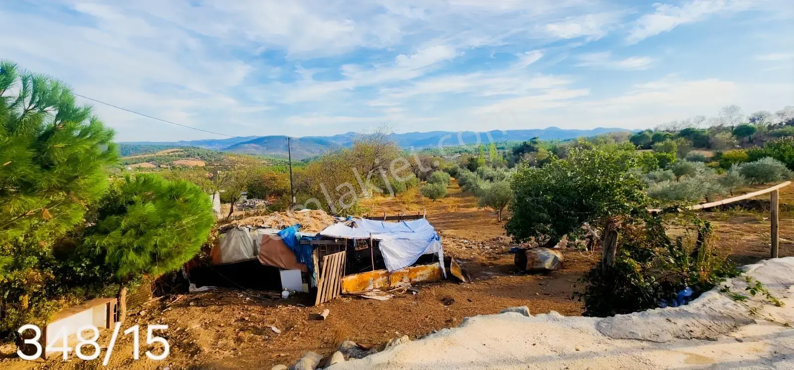 Havran Fazlıca'da 8.249 M2 Köy Girişi, Acil Satılık Çiftlik! — fotoğraf 4