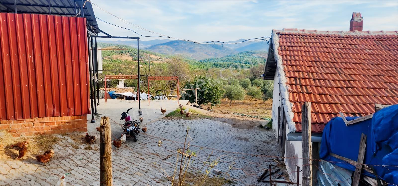 Havran Fazlıca'da 8.249 M2 Köy Girişi, Acil Satılık Çiftlik! — fotoğraf 6