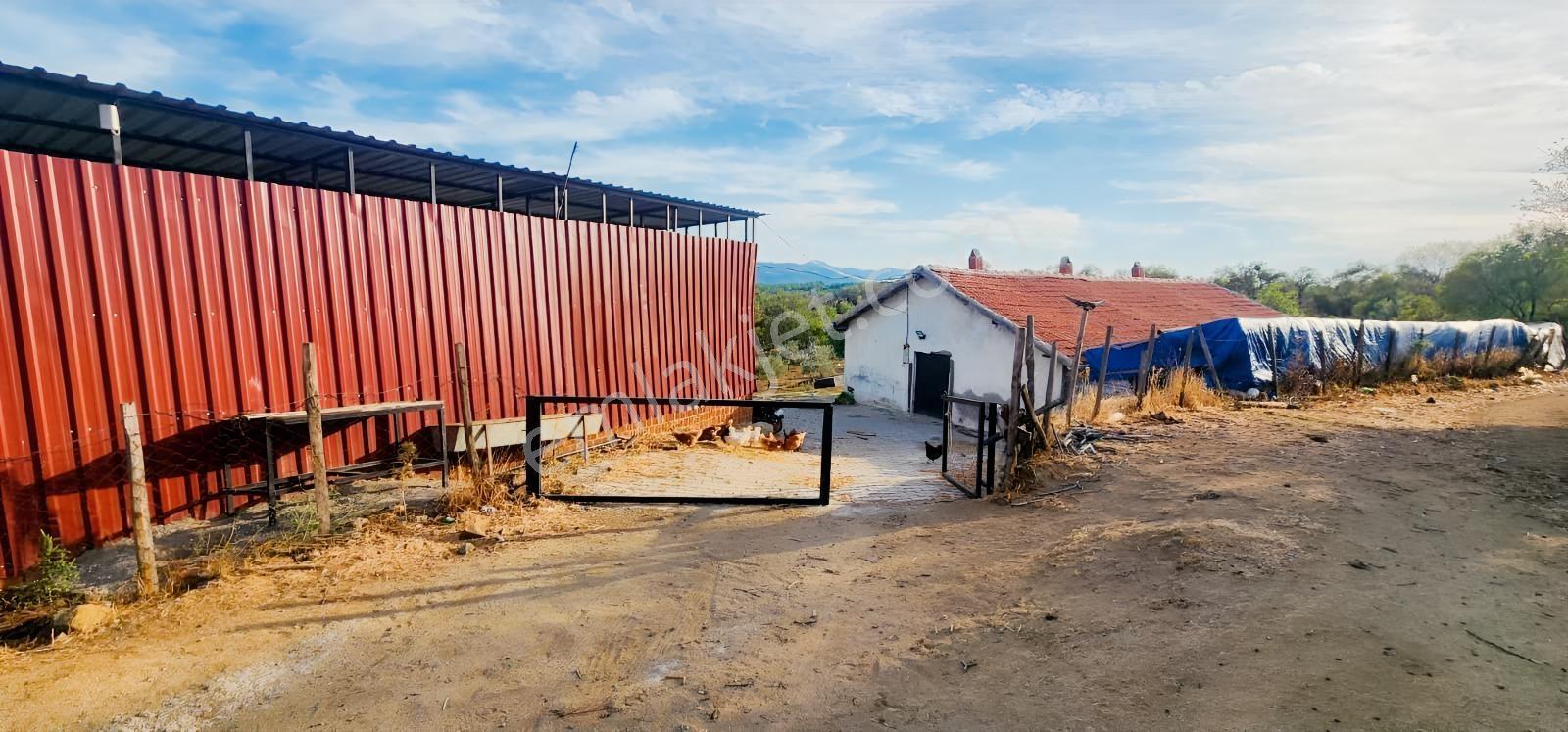 Havran Fazlıca'da 8.249 M2 Köy Girişi, Acil Satılık Çiftlik! — fotoğraf 8