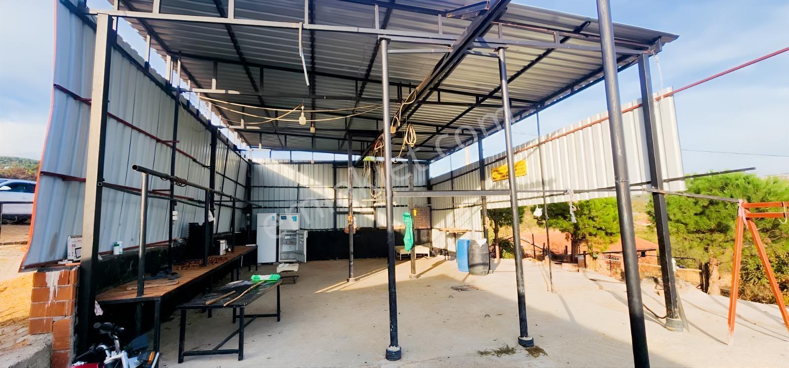 Havran Fazlıca'da 8.249 M2 Köy Girişi, Acil Satılık Çiftlik! — fotoğraf 10