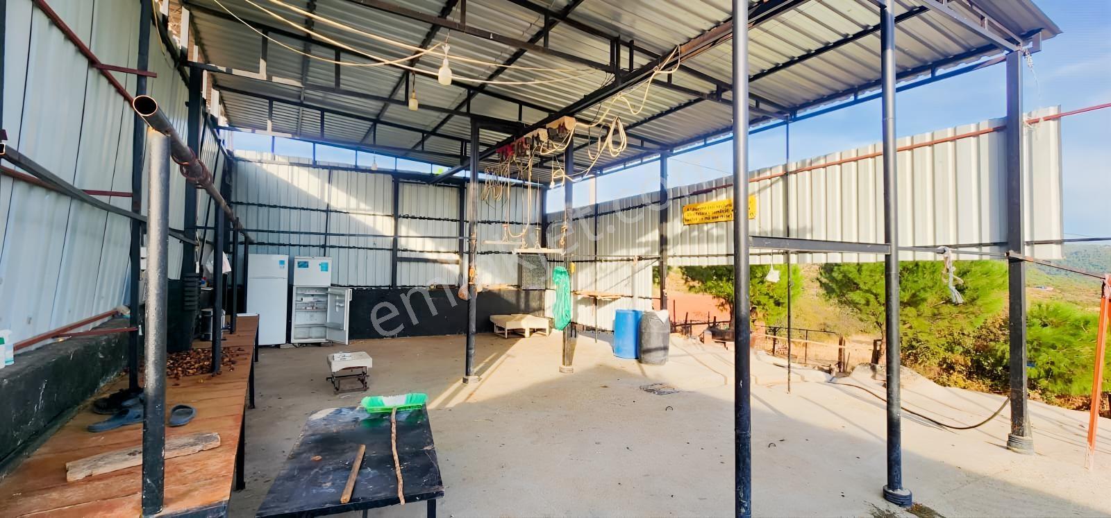 Havran Fazlıca'da 8.249 M2 Köy Girişi, Acil Satılık Çiftlik! — fotoğraf 11