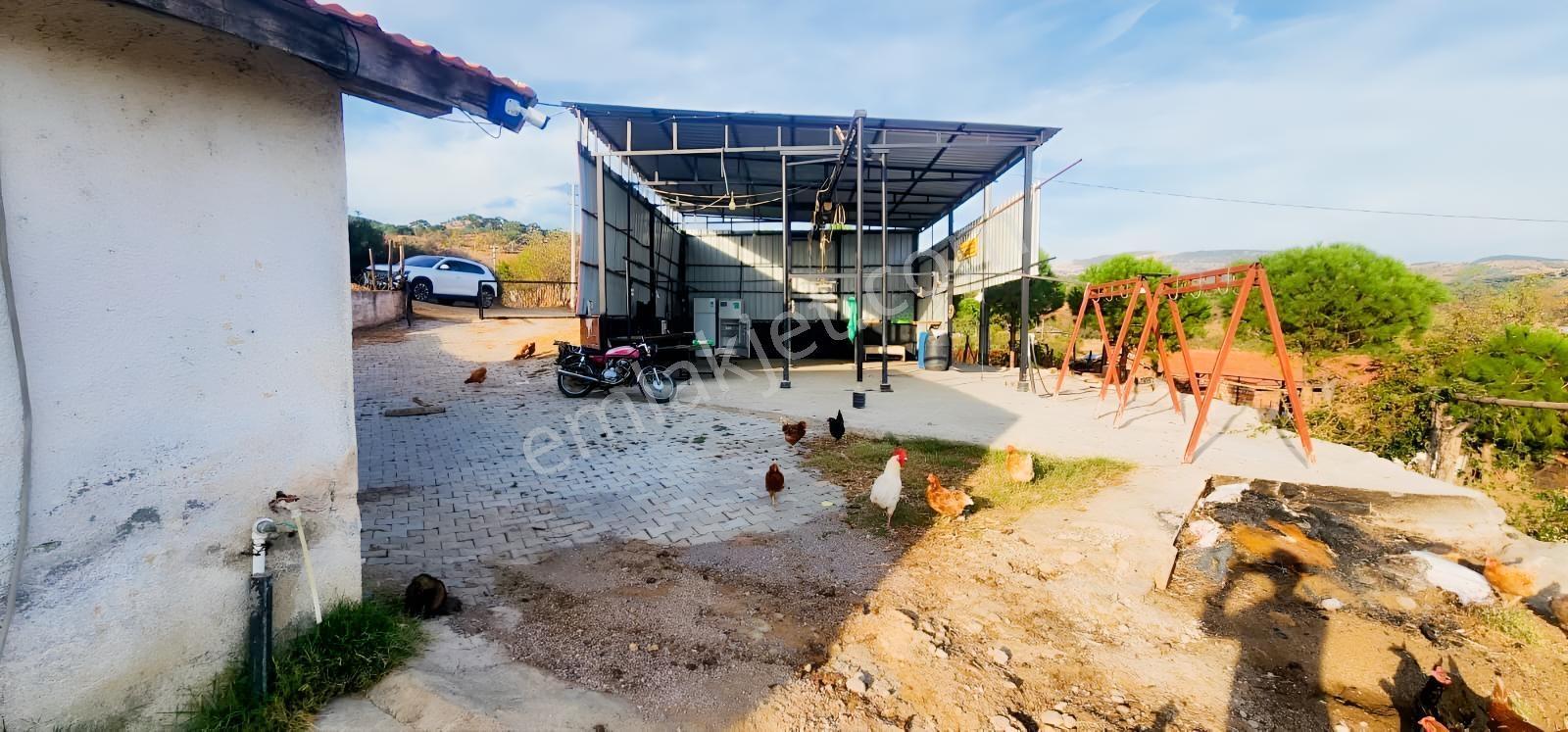 Havran Fazlıca'da 8.249 M2 Köy Girişi, Acil Satılık Çiftlik! — fotoğraf 12