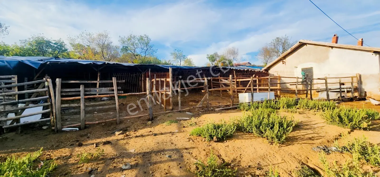 Havran Fazlıca'da 8.249 M2 Köy Girişi, Acil Satılık Çiftlik! — fotoğraf 15