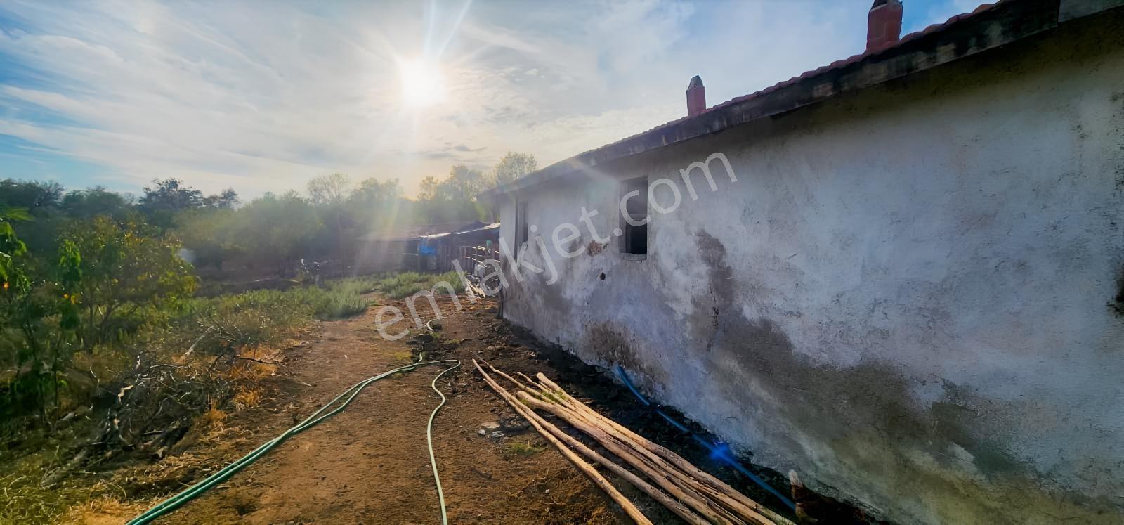 Havran Fazlıca'da 8.249 M2 Köy Girişi, Acil Satılık Çiftlik! — fotoğraf 20