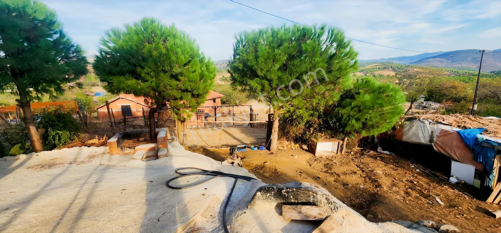 Havran Fazlıca'da 8.249 M2 Köy Girişi, Acil Satılık Çiftlik! — fotoğraf 21