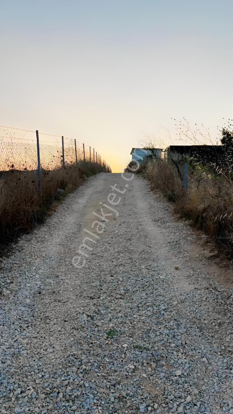 Mudanya Çınarlıda Kurulu Düzen Hobi Bahçesi — fotoğraf 26