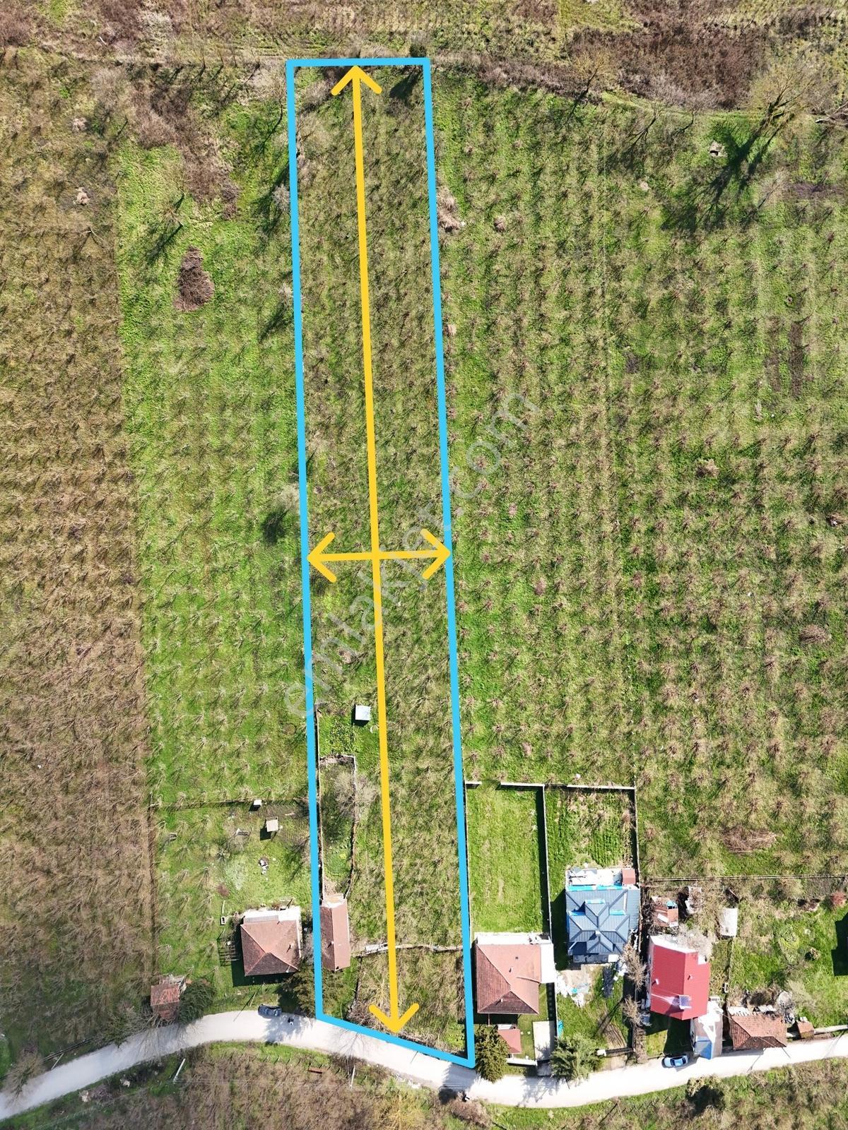 Çilimli Söğütlü Mahallesi'nde 5.480 M2 Konut İmarlı Arsa Fırsatı