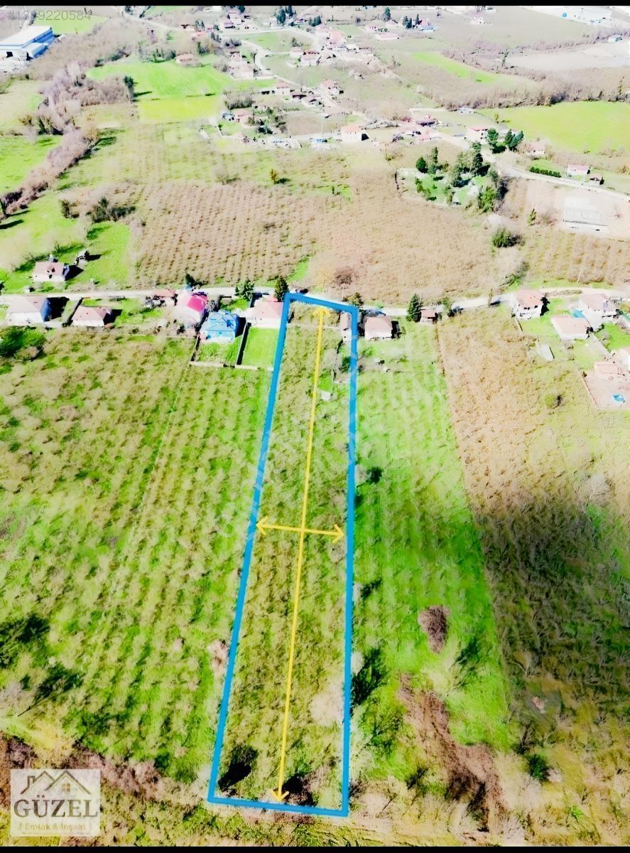 Çilimli Söğütlü Mahallesi'nde 5.480 M2 Konut İmarlı Arsa Fırsatı — fotoğraf 2