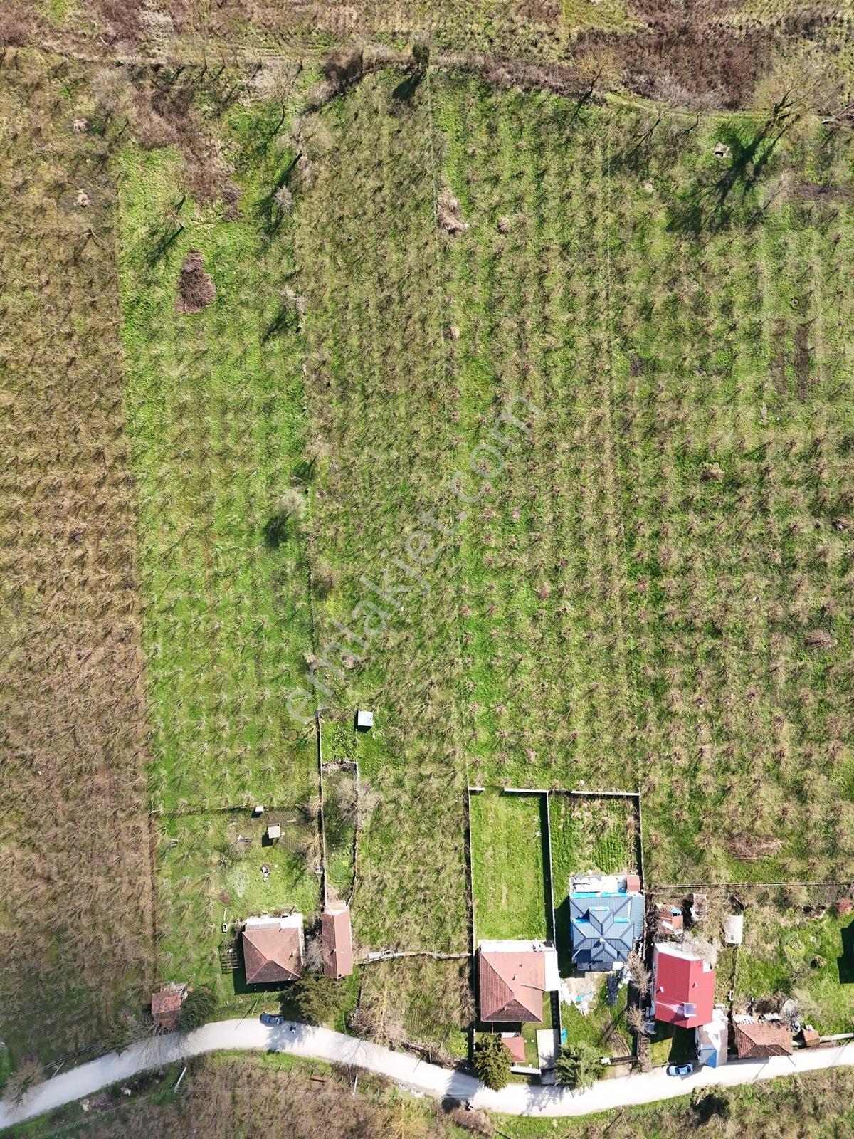 Çilimli Söğütlü Mahallesi'nde 5.480 M2 Konut İmarlı Arsa Fırsatı — fotoğraf 3