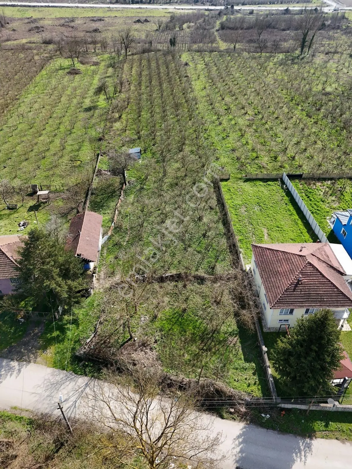 Çilimli Söğütlü Mahallesi'nde 5.480 M2 Konut İmarlı Arsa Fırsatı — fotoğraf 4