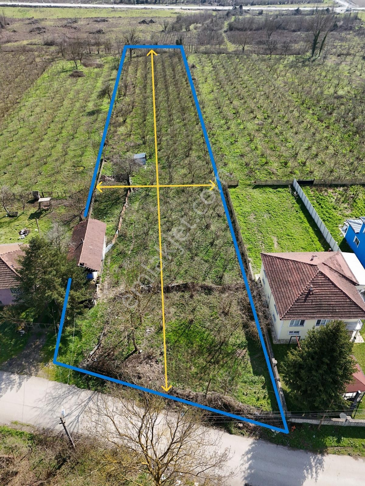 Çilimli Söğütlü Mahallesi'nde 5.480 M2 Konut İmarlı Arsa Fırsatı — fotoğraf 5